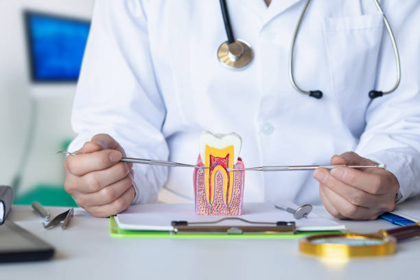 Best Emergency Orthodontic Repairs in Ossian, IN